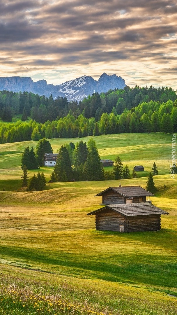 Domki na płaskowyżu Seiser Alm