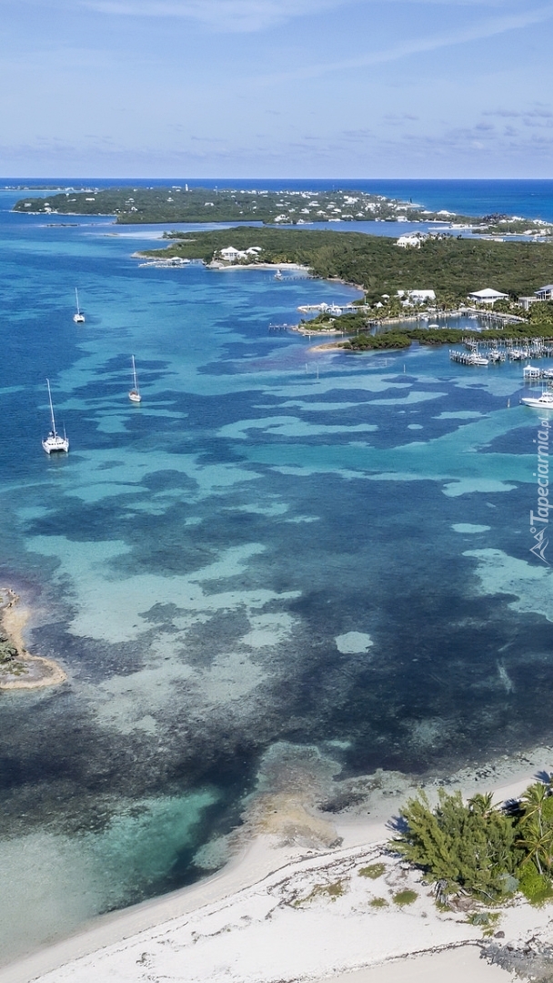 Domki na wyspie Elbow Cay