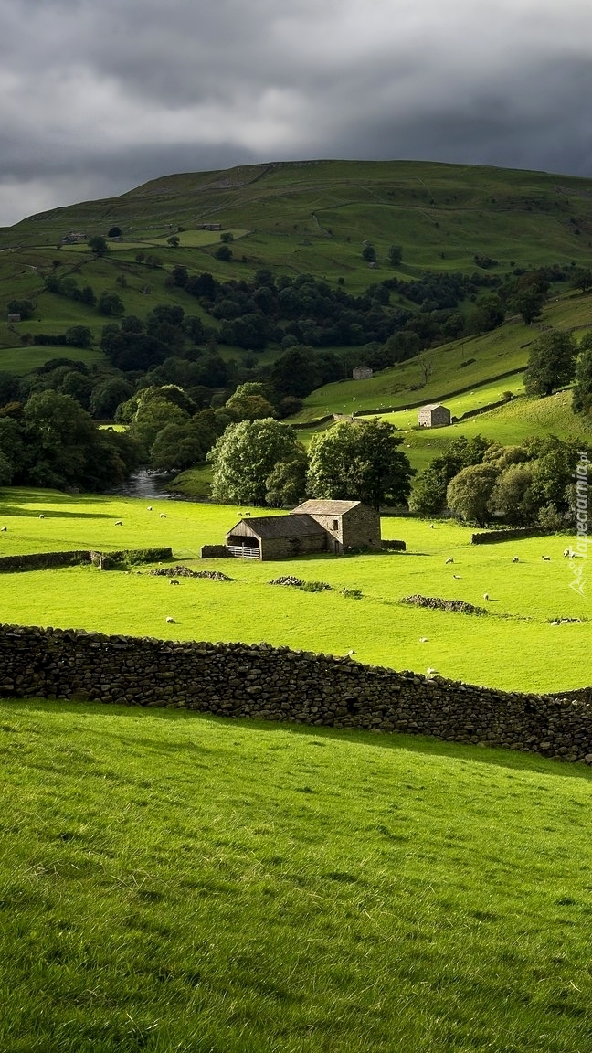 Domki w dolinie Swaledale