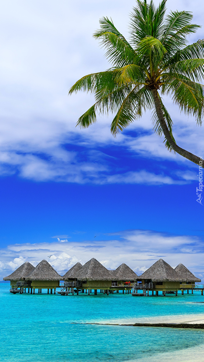 Domki w morzu na wyspie Bora Bora