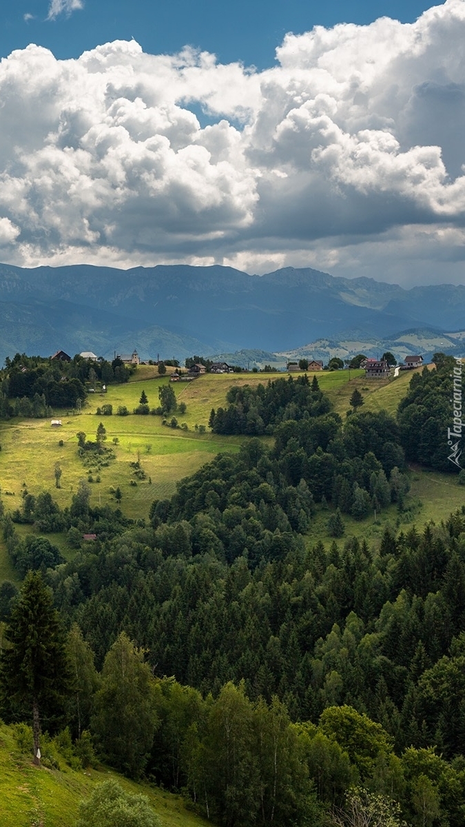 Domy i lasy w górskiej dolinie