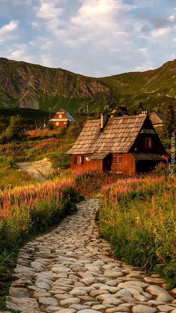 Domy na Hali Gąsienicowej w Tatrach
