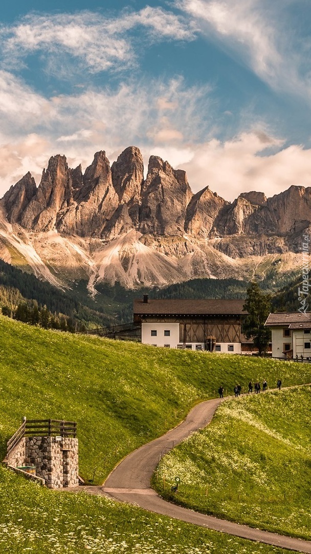 Domy na łące w Dolomitach