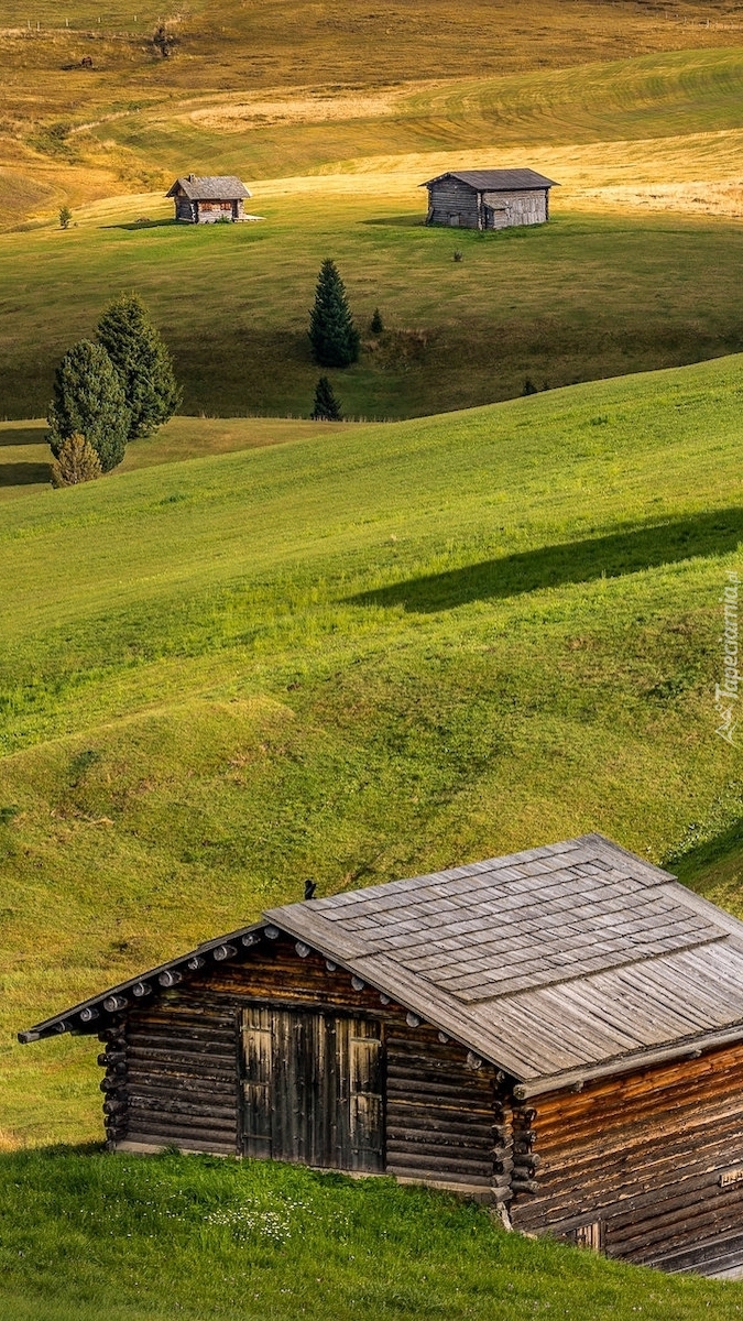 Domy na płaskowyżu Seiser Alm we Włoszech