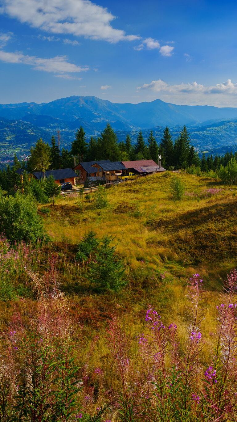 Domy na polanie z widokiem na Karpaty w Rumunii