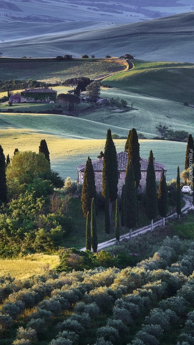 Domy na wzgórzach w Toskanii
