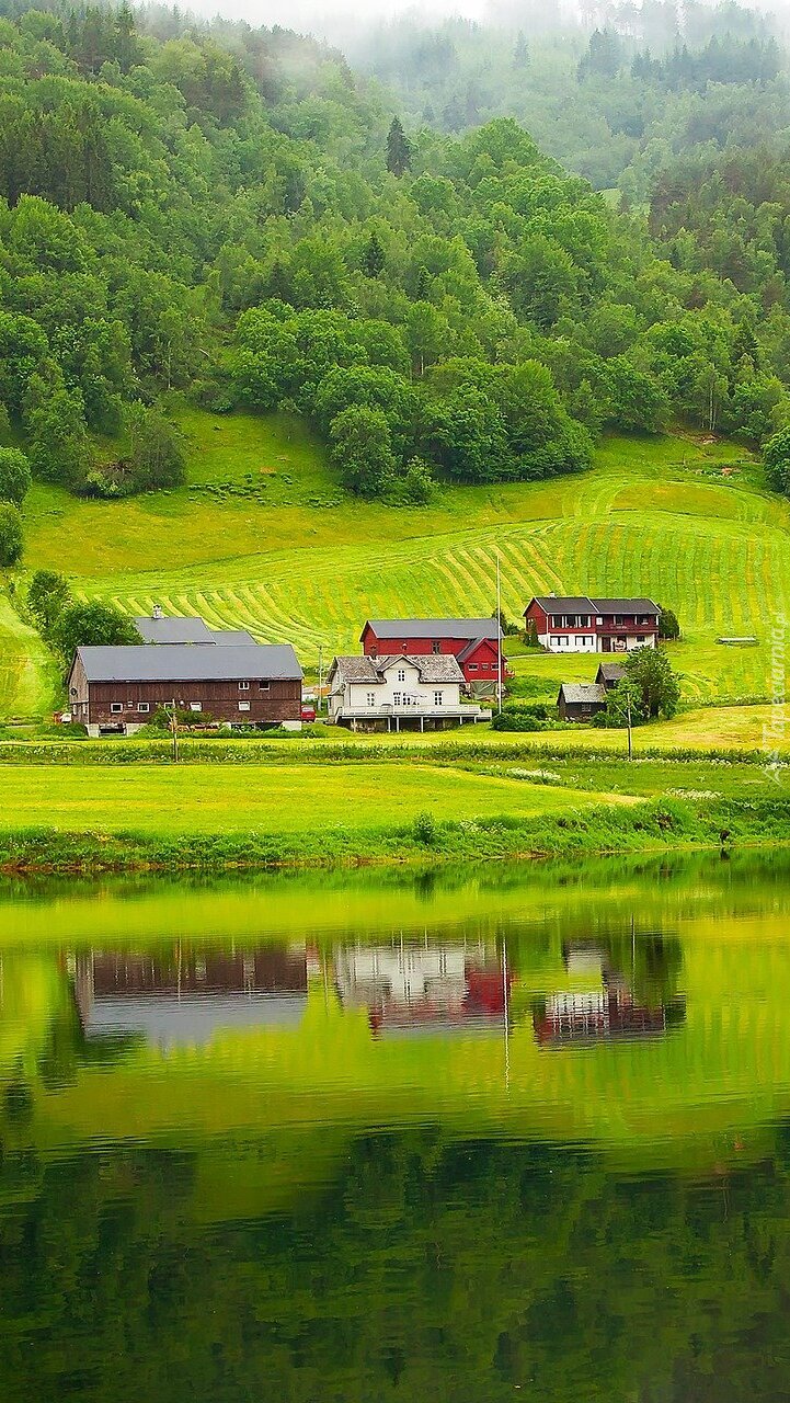 Domy na zielonych polach nad rzeką