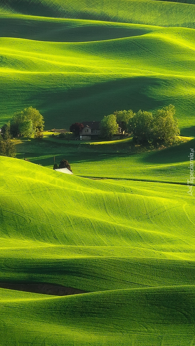 Domy na zielonych wzgórzach Palouse