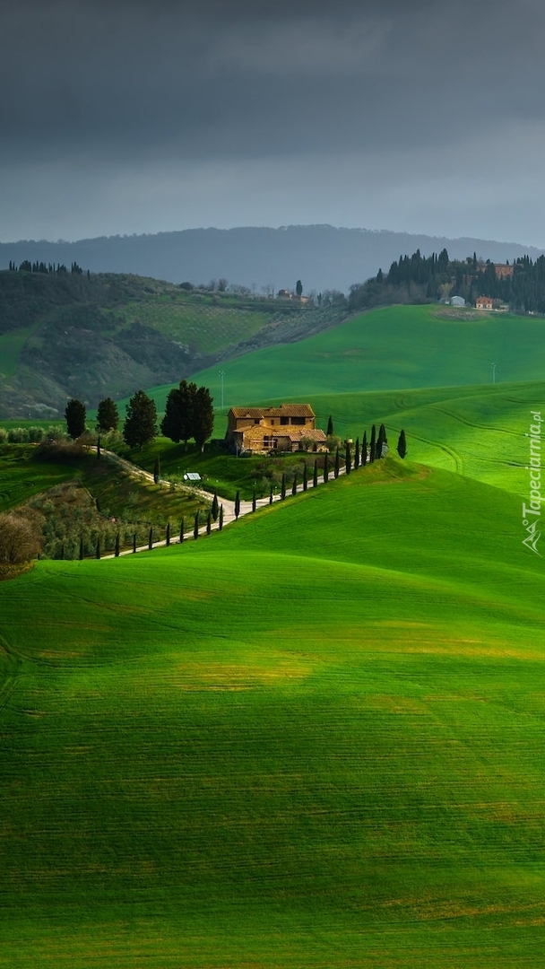 Domy na zielonych wzgórzach Toskanii