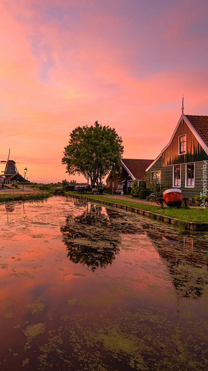 Domy nad kanałem w Zaanse Schan