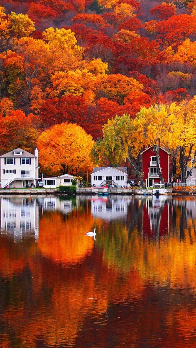 Domy pod jesiennymi drzewami nad jeziorem