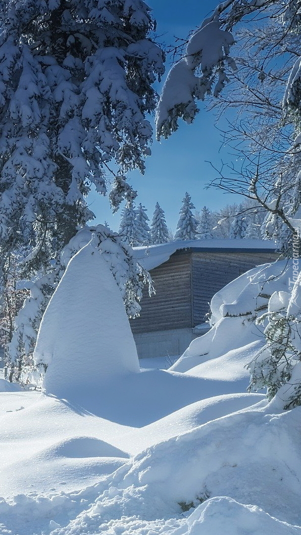 Drewniana chata w śniegu