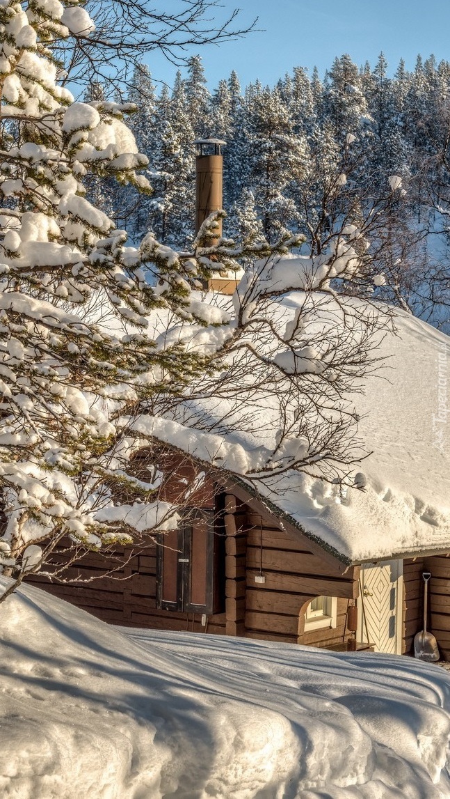 Drewniana chata zimą