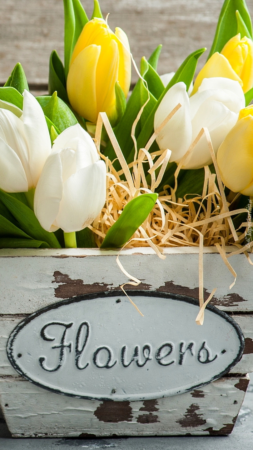 Drewniana doniczka z białymi i żółtymi tulipanami