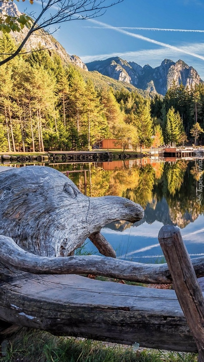 Drewniana ławka nad jeziorem