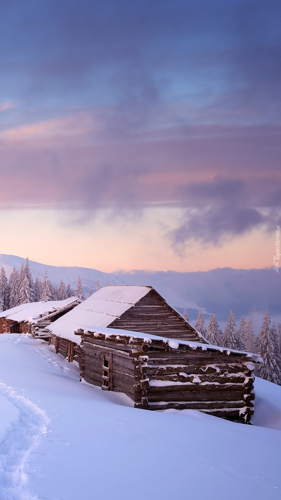 Drewniane domki zasypane śniegiem