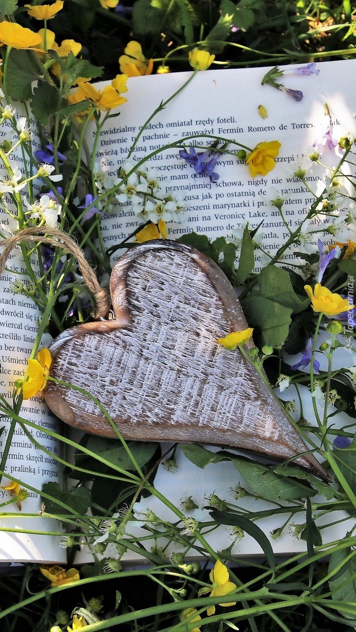 Drewniane serce na książce