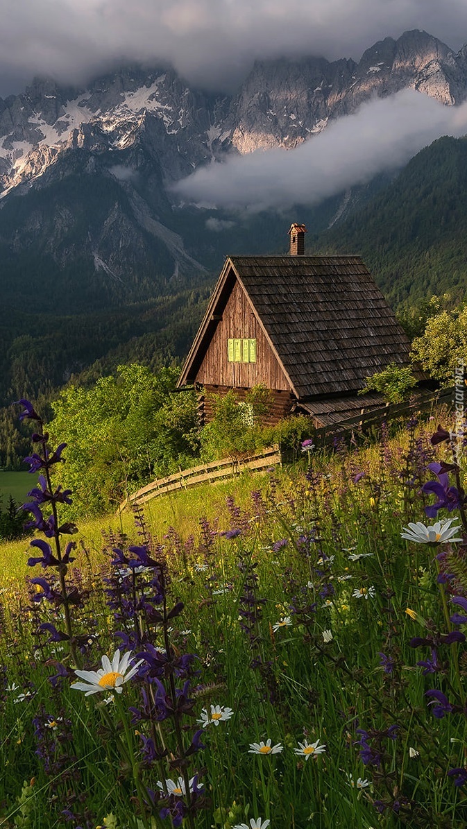 Drewniany dom na tle gór