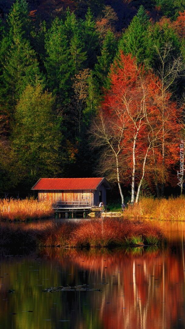 Drewniany dom nad jeziorem