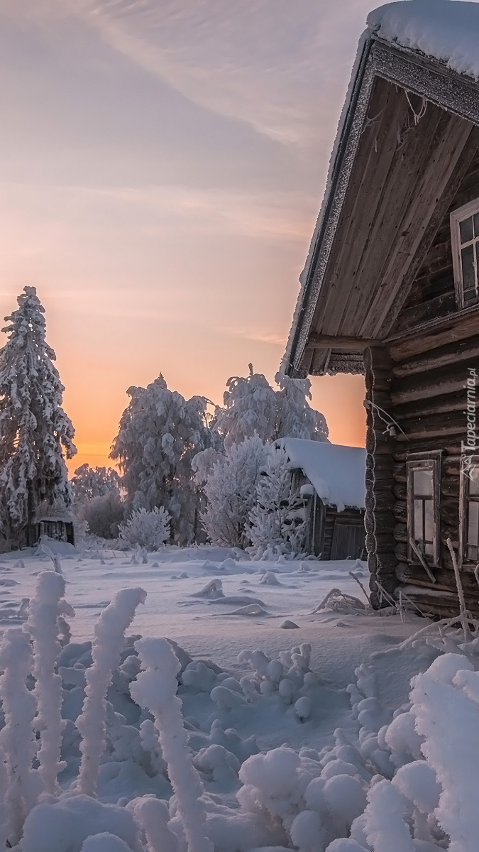 Drewniany dom w śniegu