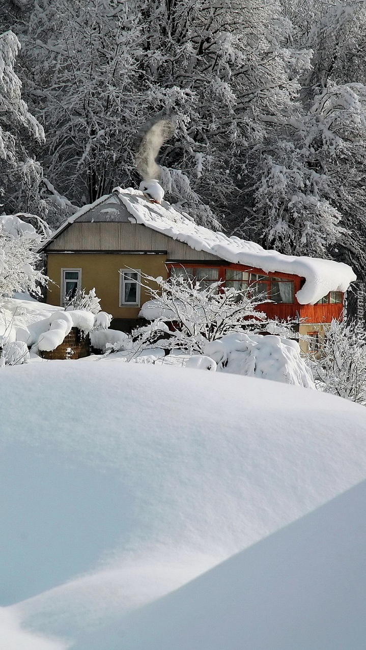Drewniany dom w zaspach śnieżnych