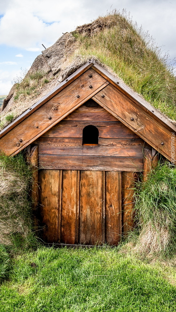Drewniany domek porośnięty trawą