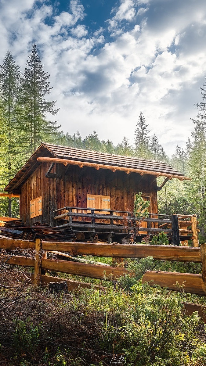 Drewniany domek w lesie
