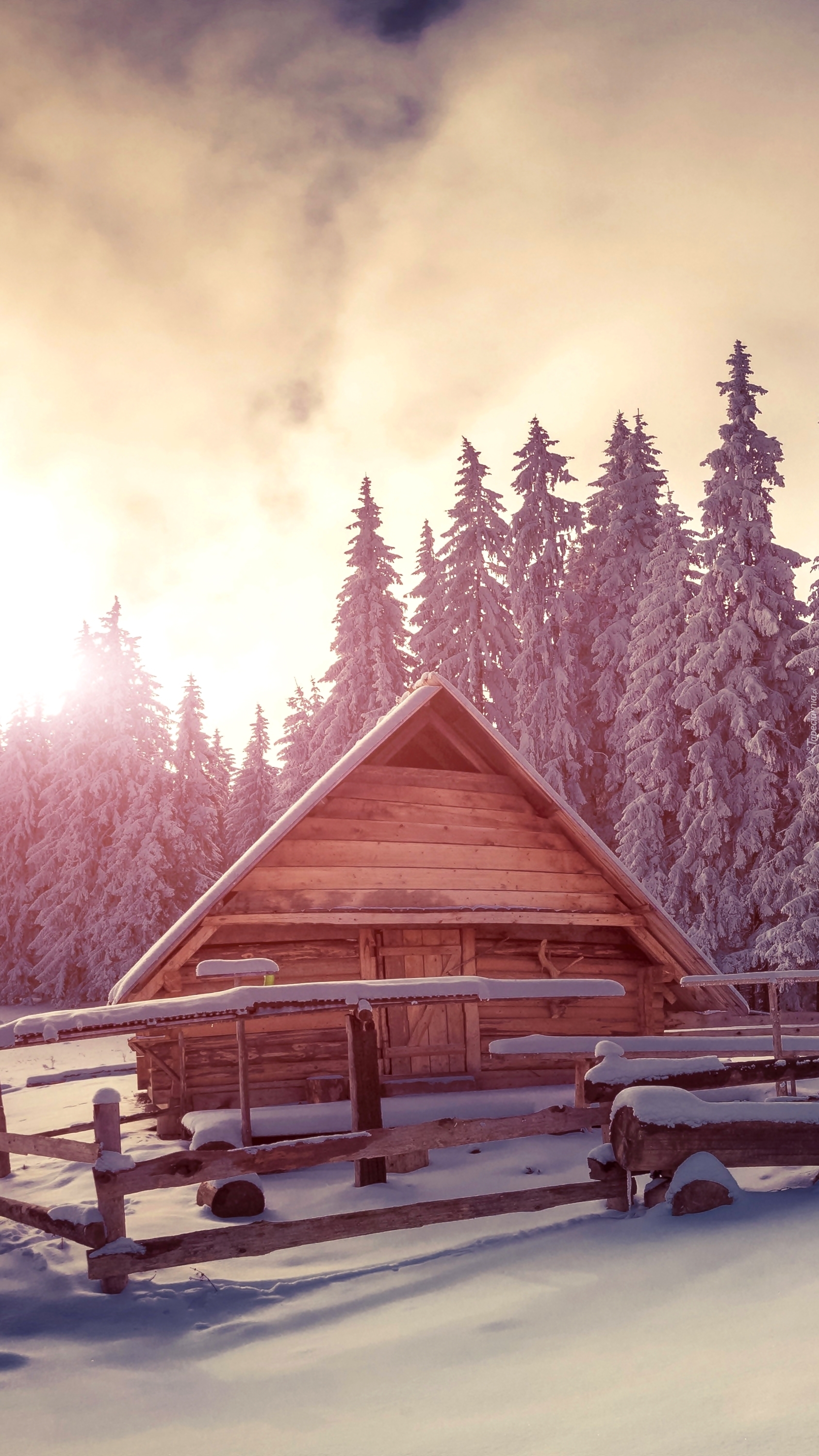 Drewniany domek w lesie zimą
