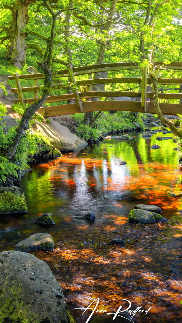 Drewniany mostek nad leśną rzeką