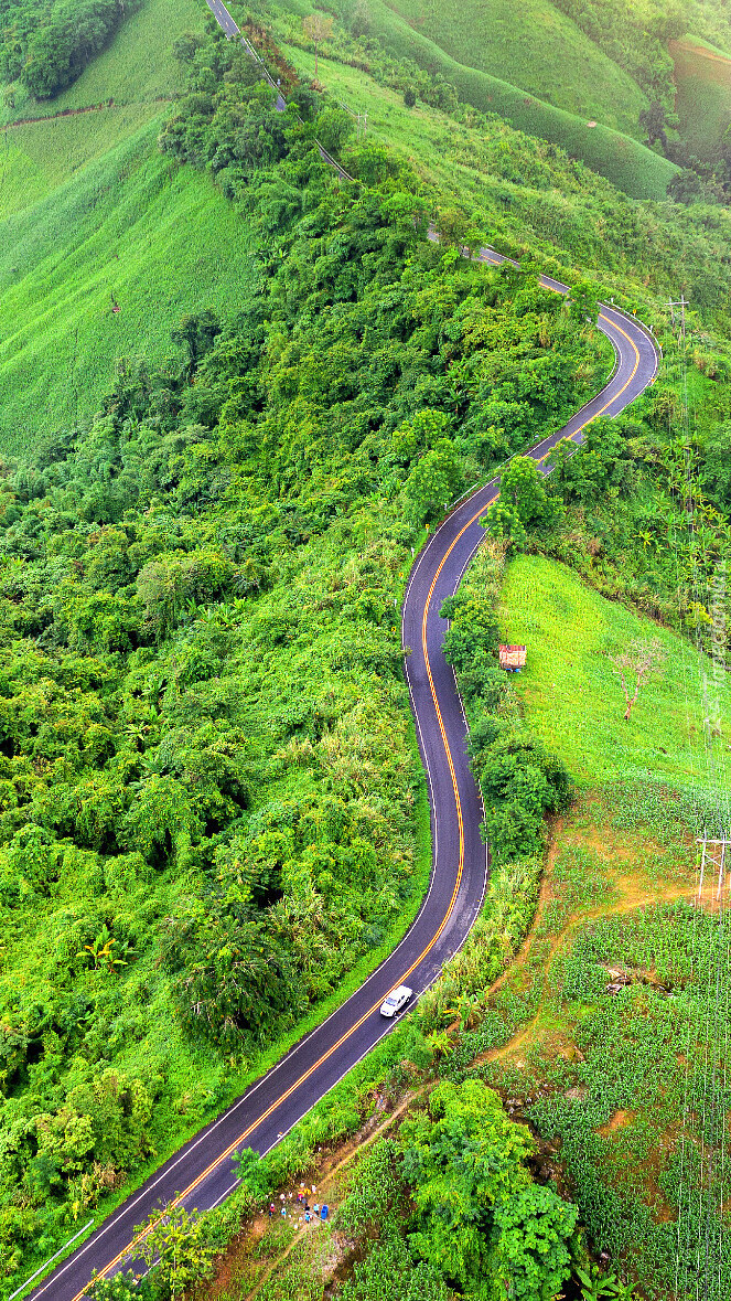 Droga na zielonych wzgórzach