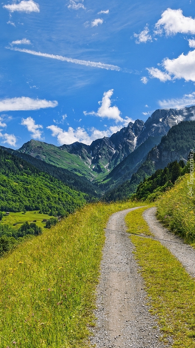 Droga w Alpach Szwajcarskich