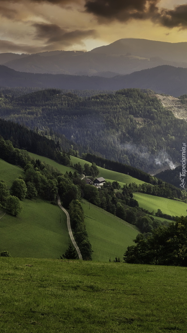 Droga wśród zielonych wzgórz w Austrii