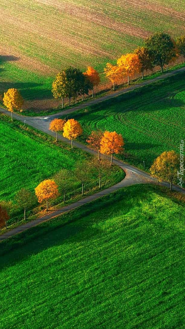 Drogi w polu jesienią