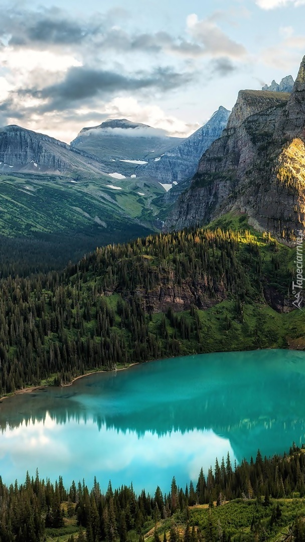 Drzewa dookoła jeziora Grinnell Lake