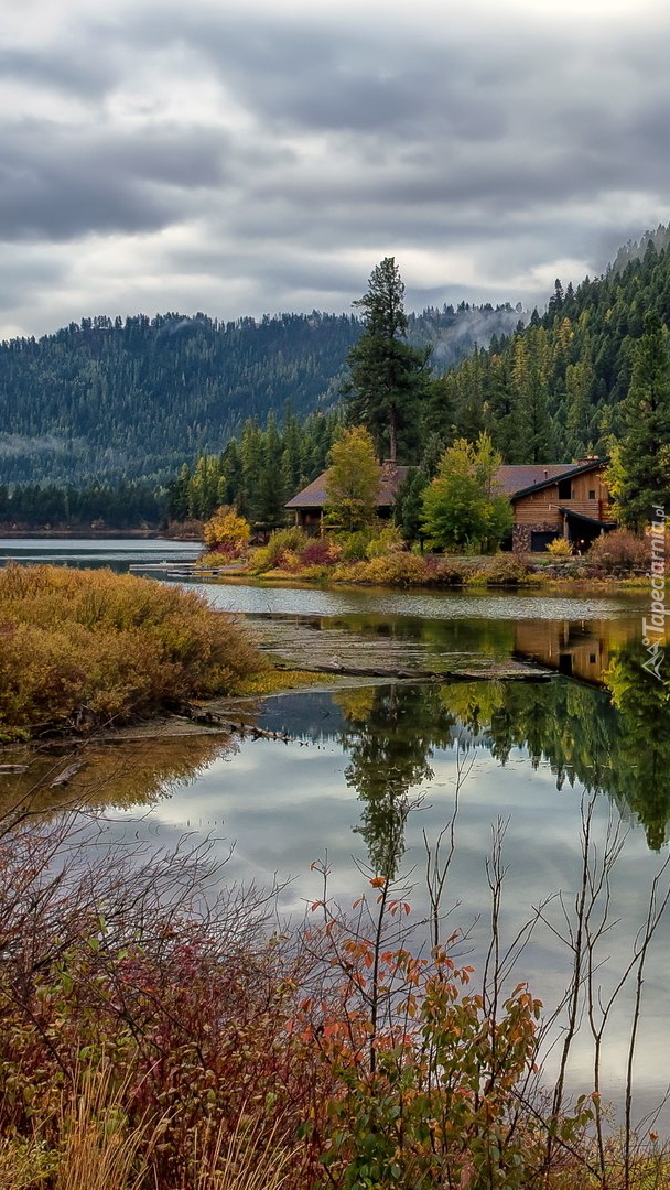 Drzewa i domy nad jeziorem Salmon Lake