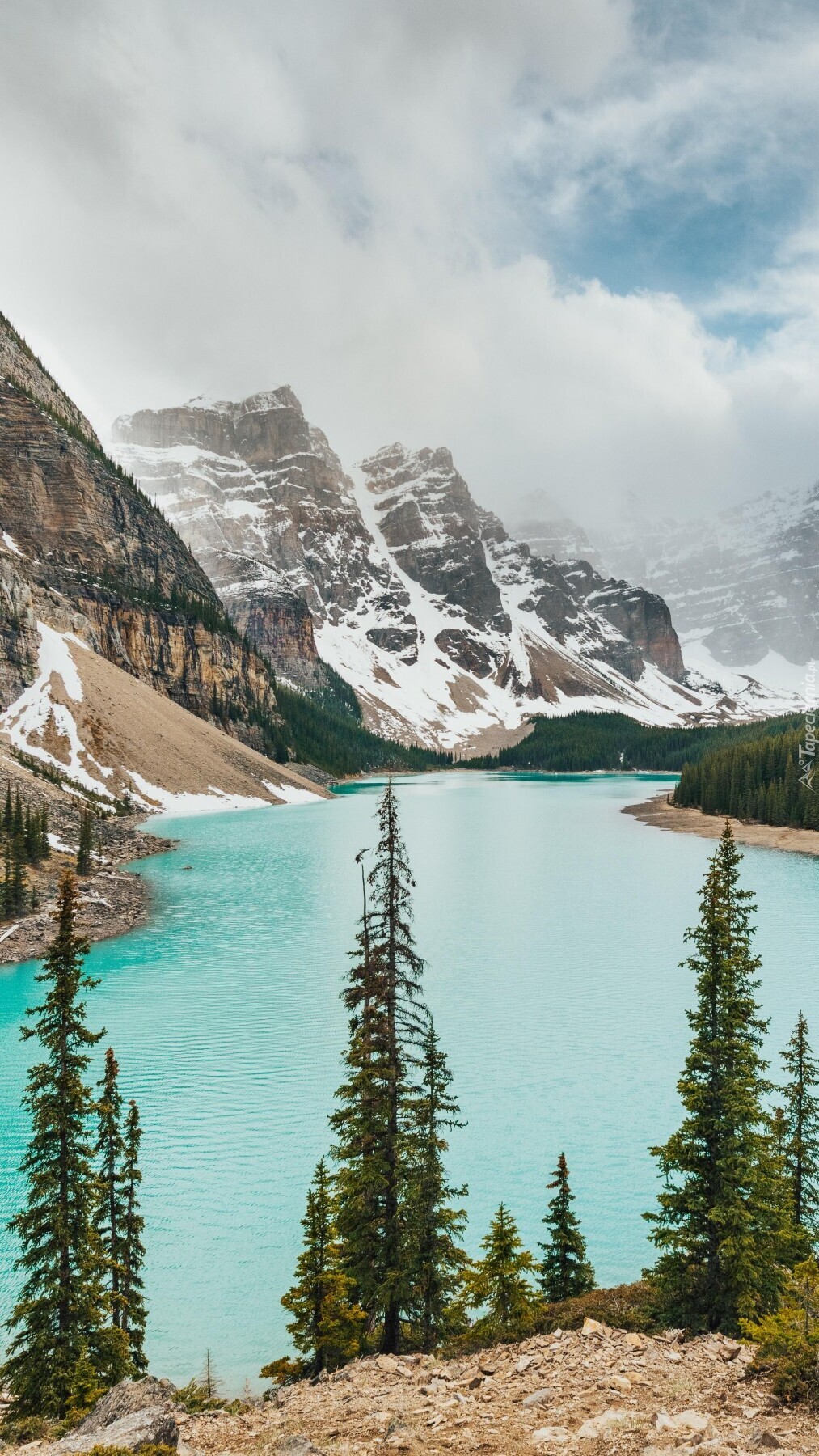 Drzewa i góry nad jeziorem Moraine Lake