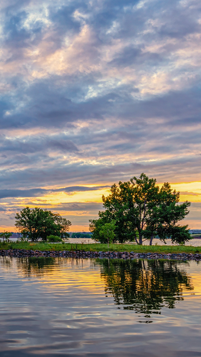 Drzewa i jezioro Chatfield Lake