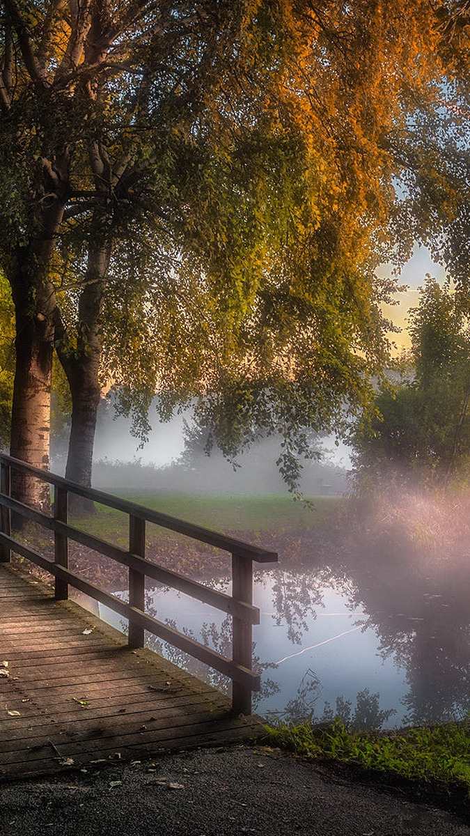 Drzewa i mostek nad zamglonym stawem