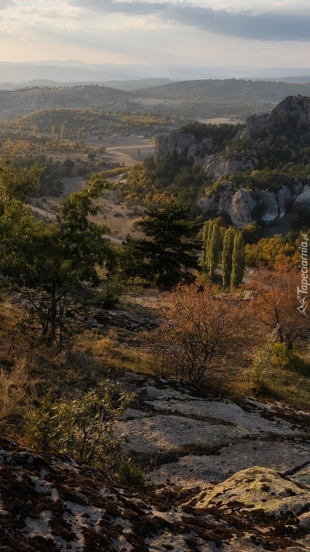 Drzewa i skały w Phrygian Valley
