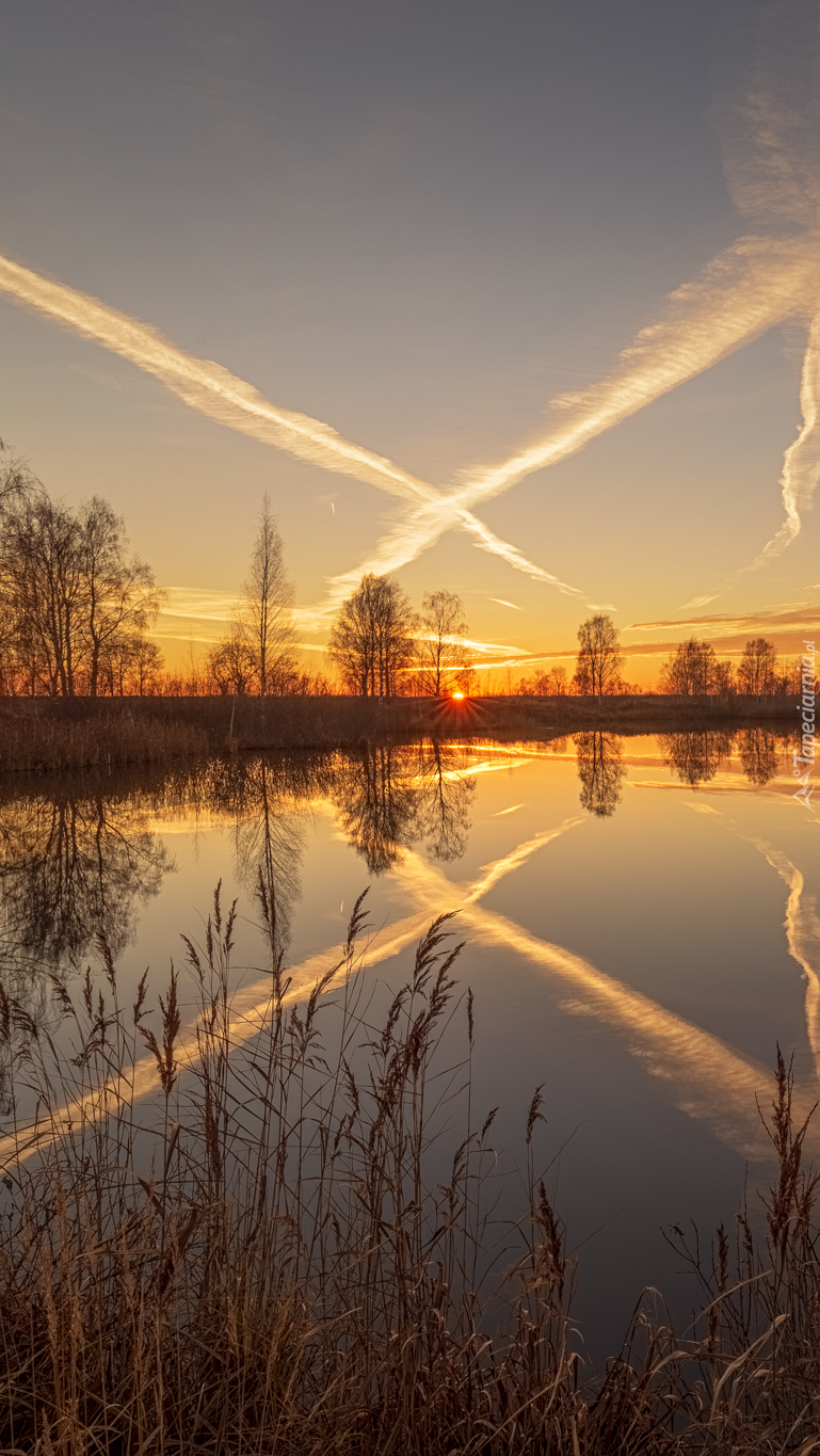 Drzewa i trzciny nad rzeką o zachodzie słońca