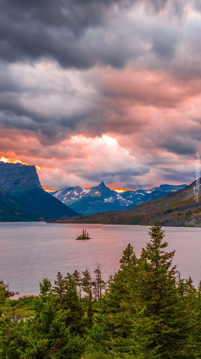 Drzewa na jeziorem Saint Mary Lake