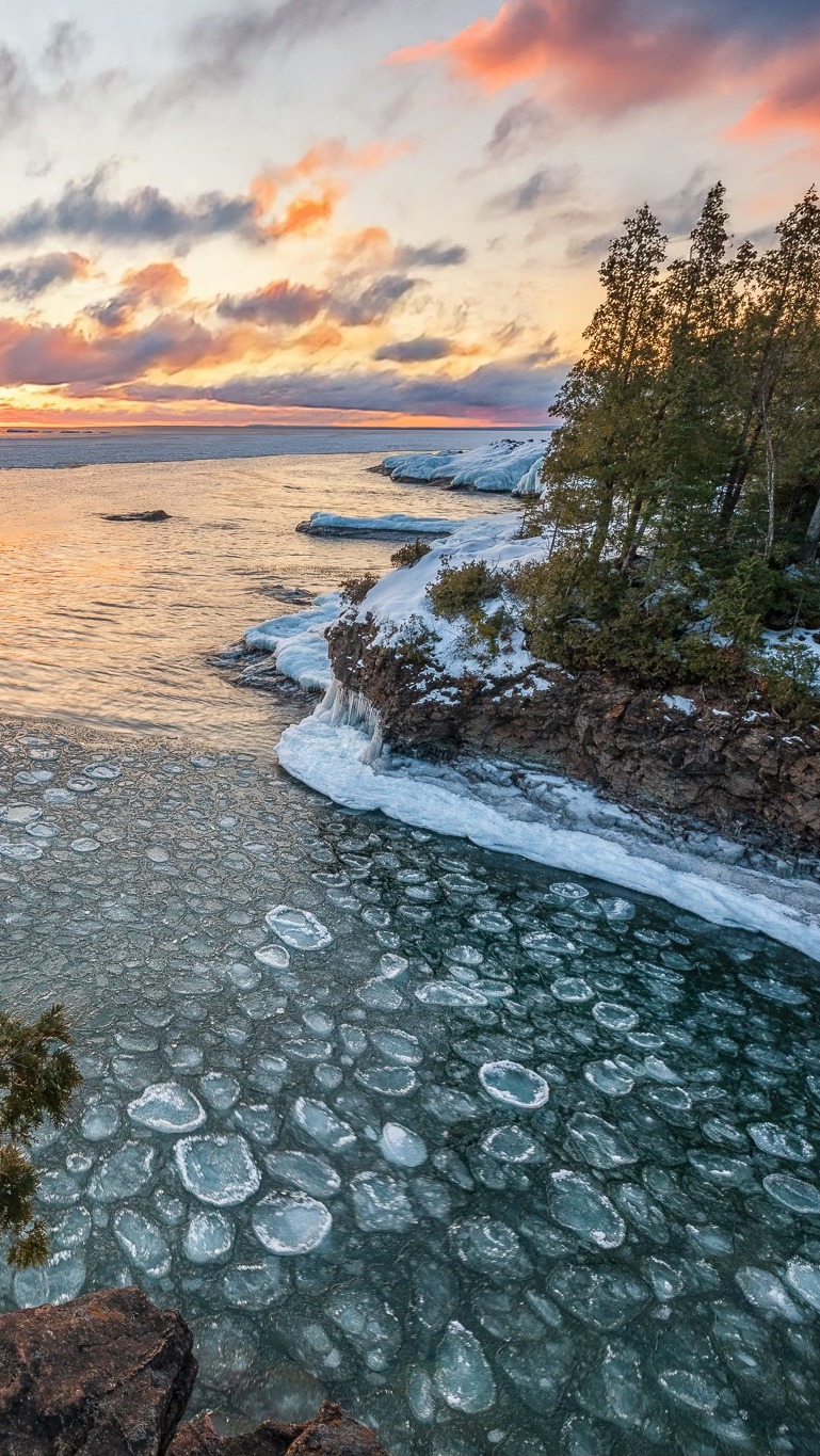 Drzewa na ośnieżonych skałach nad jeziorem Superior o świcie