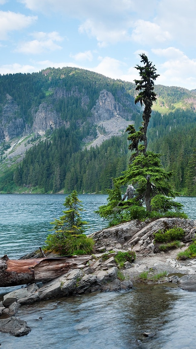 Drzewa na skałach na jeziorze Mowich Lake