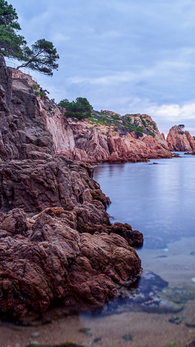 Drzewa na skałach na wybrzeżu Costa Brava
