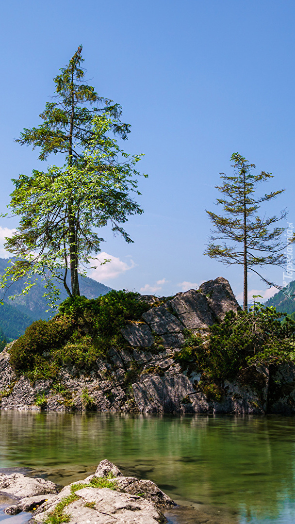 Drzewa na skałach nad jeziorem  Hintersee