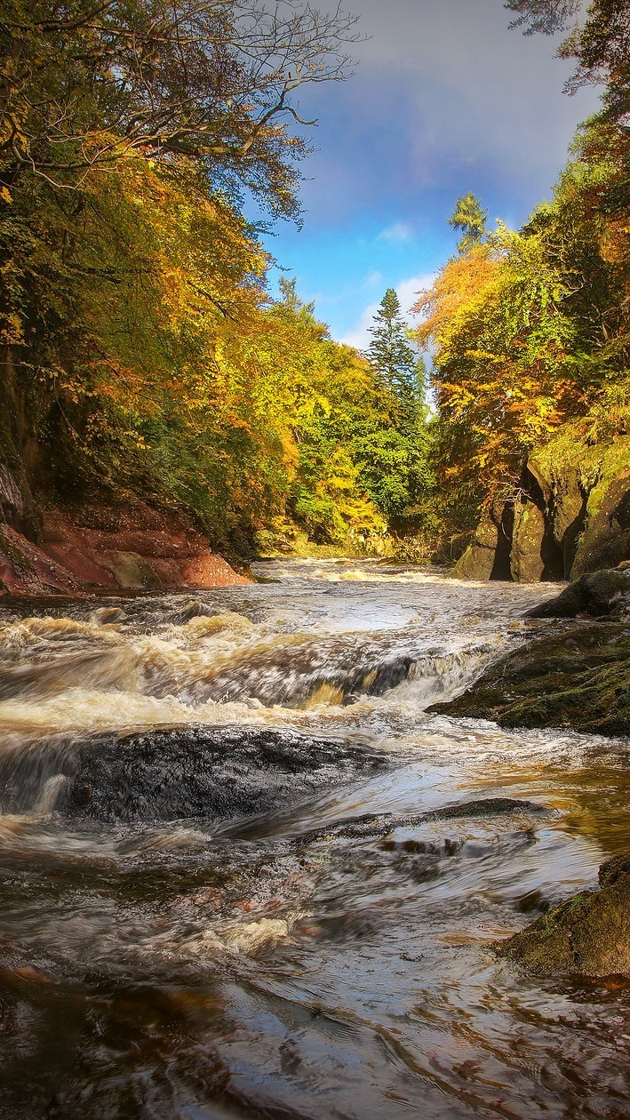 Drzewa na skałach nad rwącą rzeką