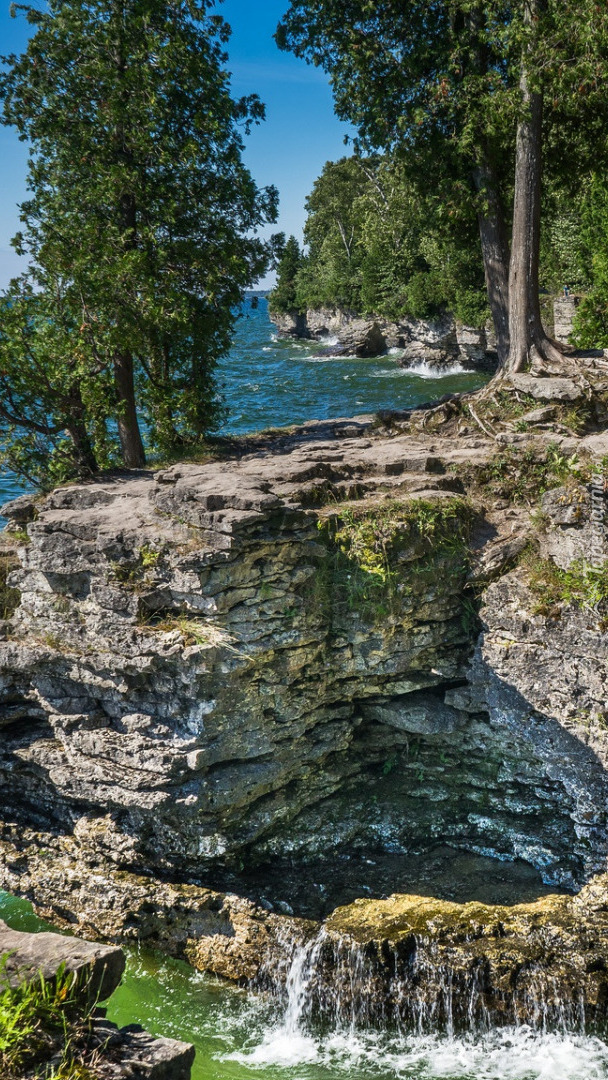 Drzewa na skałach w Cave Point County Park