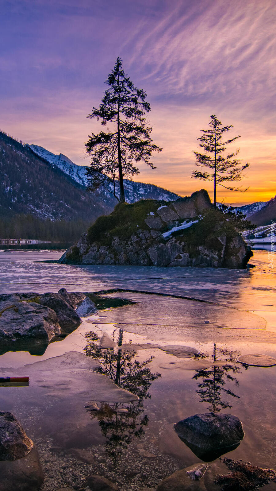 Drzewa na skałach w jeziorze Hintersee