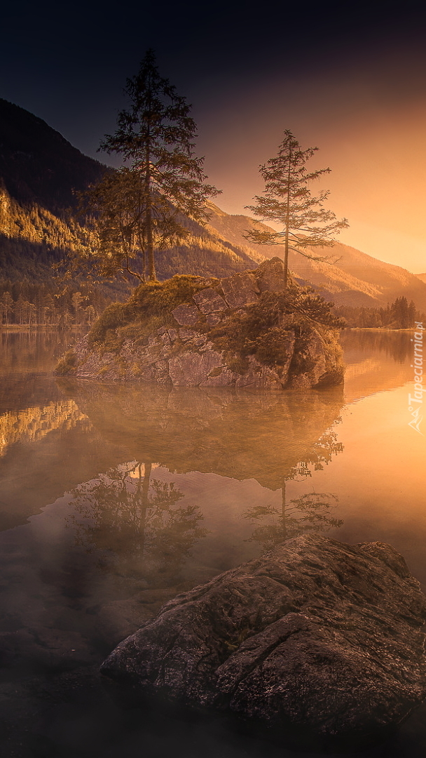 Drzewa na skałach w jeziorze Hintersee