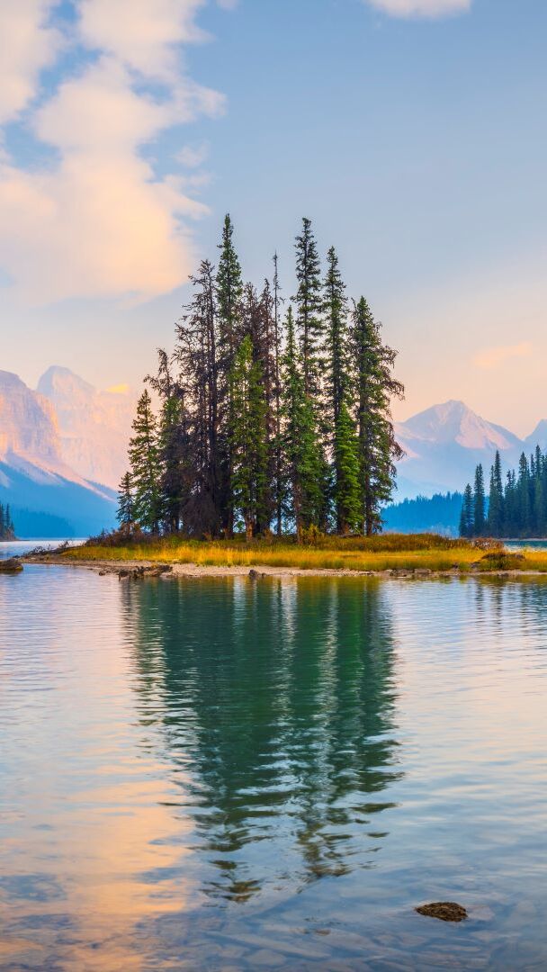 Drzewa na Wyspie Ducha na jeziorze Maligne Lake
